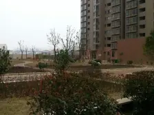 小区管理严谨,干净整洁。全明户型,方形板正