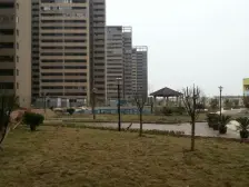 高新区3房2厅 阳光充足楼层好