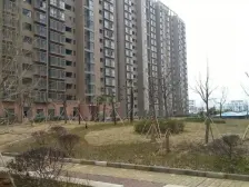 龙江花园 南北通透,采光好 装修好,环镜优美 中间楼层