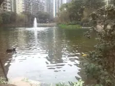 恒大精装商务可办公业主诚心出售