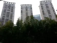 临江栋中区楼层,一线江景,高绿化好物业,带会所