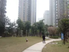 复地天玺清水四房 户型通透 视野好 采光好 朝别墅