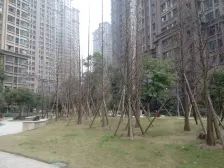 精装修 视野开阔 可以领包入住 龙湖物业 小区环境好