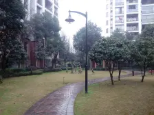 纯洋房社区 舒适静谧 户型通透 诚意出售