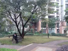 纯洋房社区 舒适静谧 户型通透 诚意出售