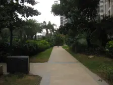 房子在卖 价格优惠 三房两卫房子采光好