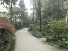 青城阳光 1室0厅 南