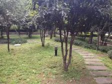 冉家坝三轻轨旁成熟地段,离轻轨商场近,采光好通透