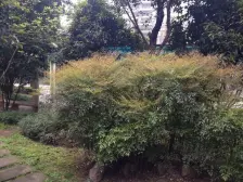 冉家坝 天一新城三房108.1万