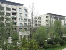 阳光全天照射,5.8米横厅,带地下室,40平大花园