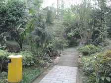 青城阳光 1室1厅 南