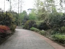 青城阳光 1室1厅 西南 西