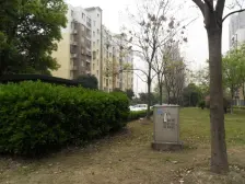店总主推 双规交通 采光通风好 华山医院+顾村公园