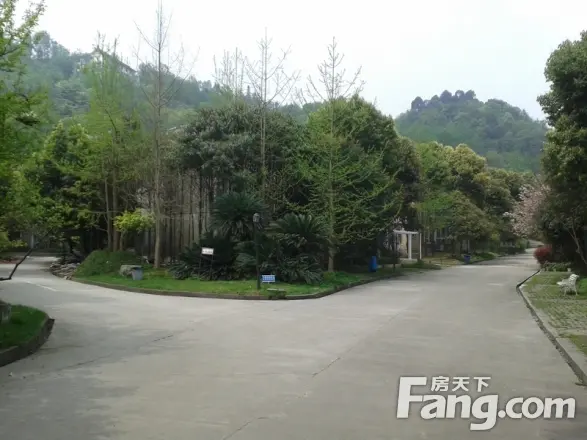 青城山水