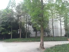 中国青城1期 2室1厅 南 北