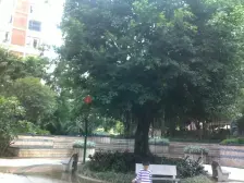 保利花园 复式三层 业主诚意出售