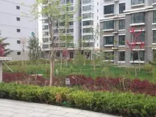 南河道 品质小区 电梯三室出售 南北朝向