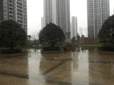 八桥 朵力品道三房91万