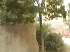 巴国城后门电梯大两房精装修随时看房