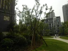 双山之巅正规两房,采光充足,配套设施齐全,交通便利