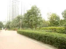 龙湖云岭天街旁 环线+5号线双轻轨 户型方正 业主急售