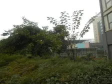 银海二郎商圈,银海方舟商品房,地铁已通,双轨道