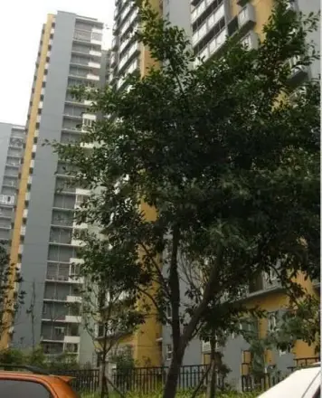 府河金庐