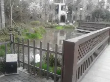 蓝谷小镇 3室2厅 东南