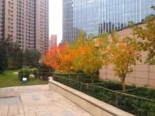 澜石三居室高楼层看河景很少拿出来卖满五唯一