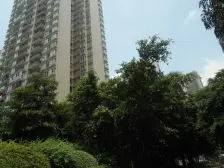 彩云湖畔 金科公园示范社区 三房双卫 急售