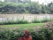 鹭湖宫六区C组团 2室1厅 东南 南