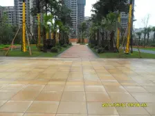 鸳鸯 融科海阔天空二期二房