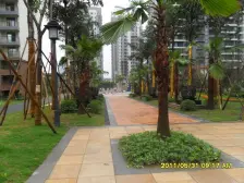 鸳鸯 融科海阔天空二期二房