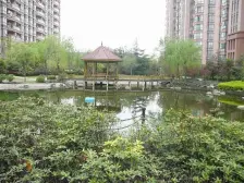 电梯房,产权清晰,业主诚意