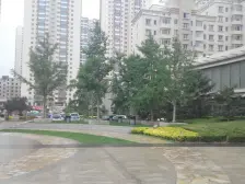 电梯房,朝南户型小区环境好 适宜居住