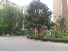 建业森林半岛 临湖下叠 带院子 带地下室 精装修