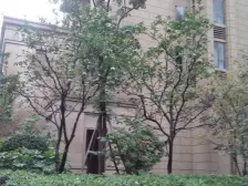 诚意出售,精装两房,约看方便