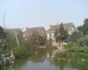 维也纳森林别墅 6室2厅 南