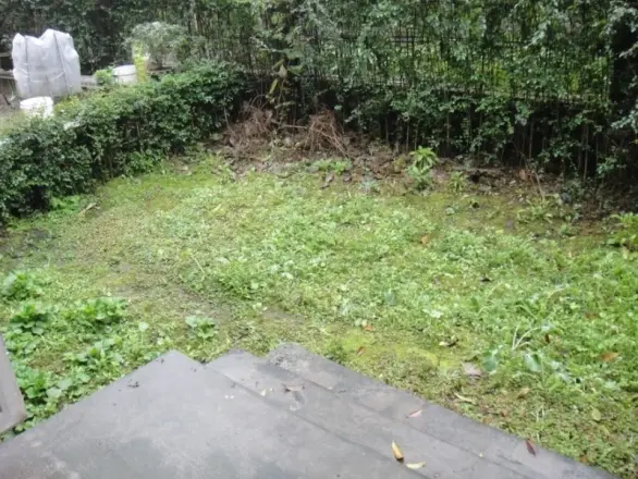 青城365宅院实景图