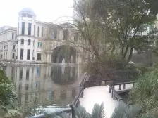 户型方正,明厨明卫,环境优美,通车库,配套齐全