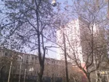 兰大 会宁路 五矿小院 南北通透 三室一厅