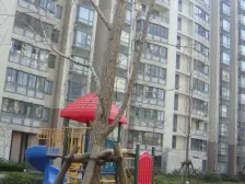 近地铁,近商圈,一梯两户,南北通透,采光充足,房型正气