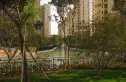佳兆业水岸豪门实景图