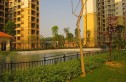佳兆业水岸豪门实景图