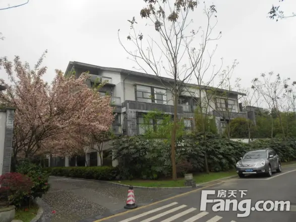 上善栖别墅实景图