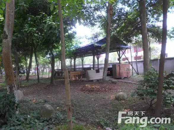 青城家园实景图