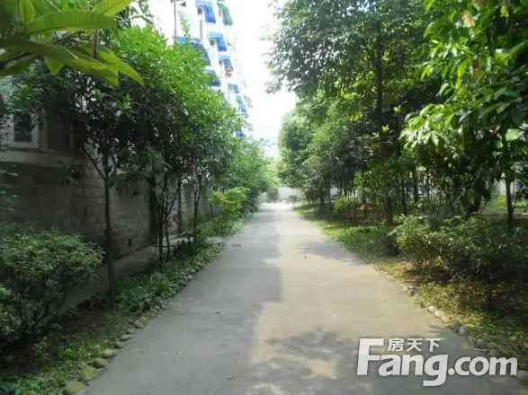 青城家园实景图