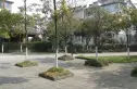 青城雅舍实景图