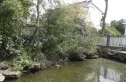 青城雅舍实景图