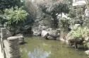 青城雅舍实景图